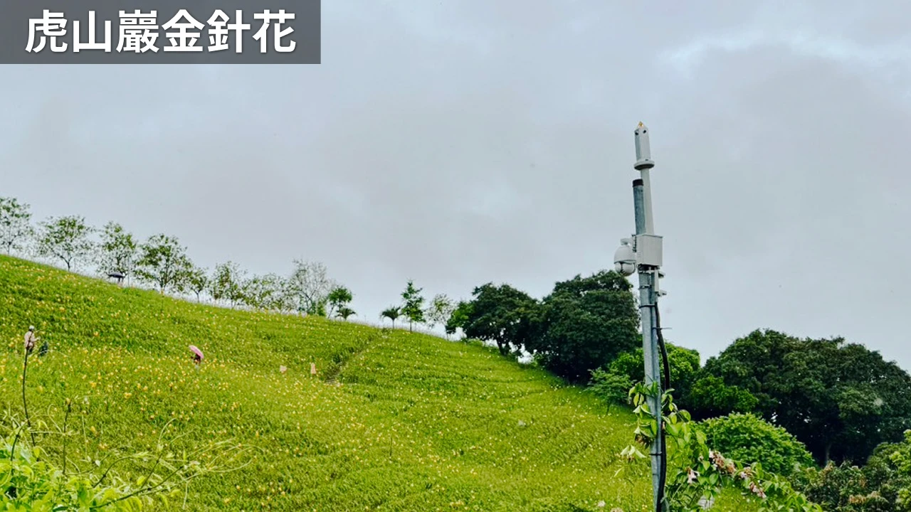 全景常駐站組